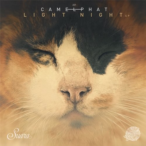Camelphat - Light Night (Original Mix)