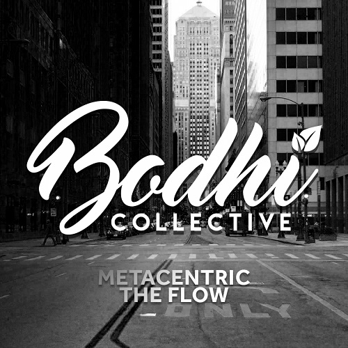 Metacentric - The Flow (Original Mix)