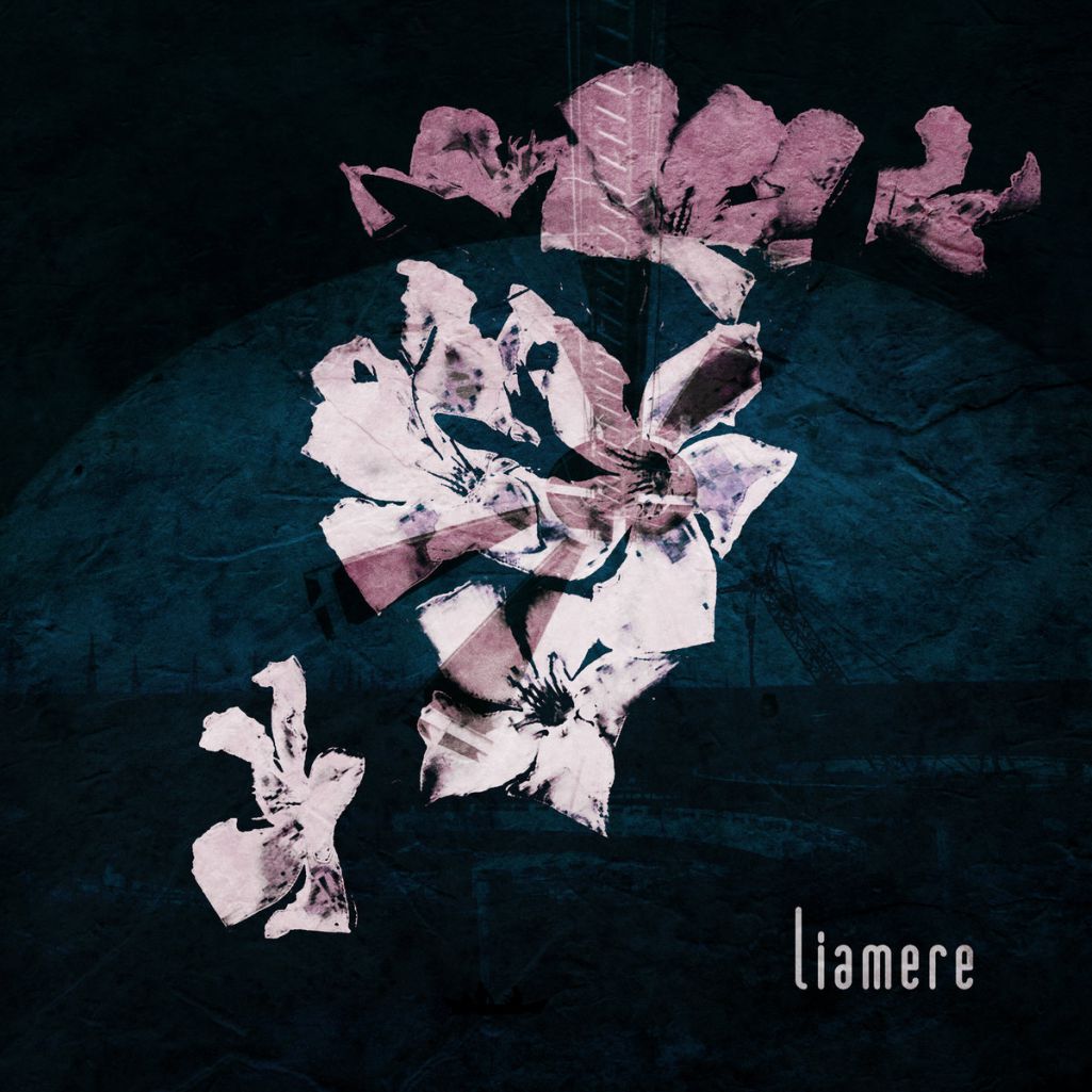Liamere - Dust (Original Mix)
