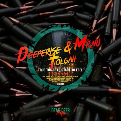 Mr.Nu, Deeperise, Tolgah - True Tonight (Original Mix)