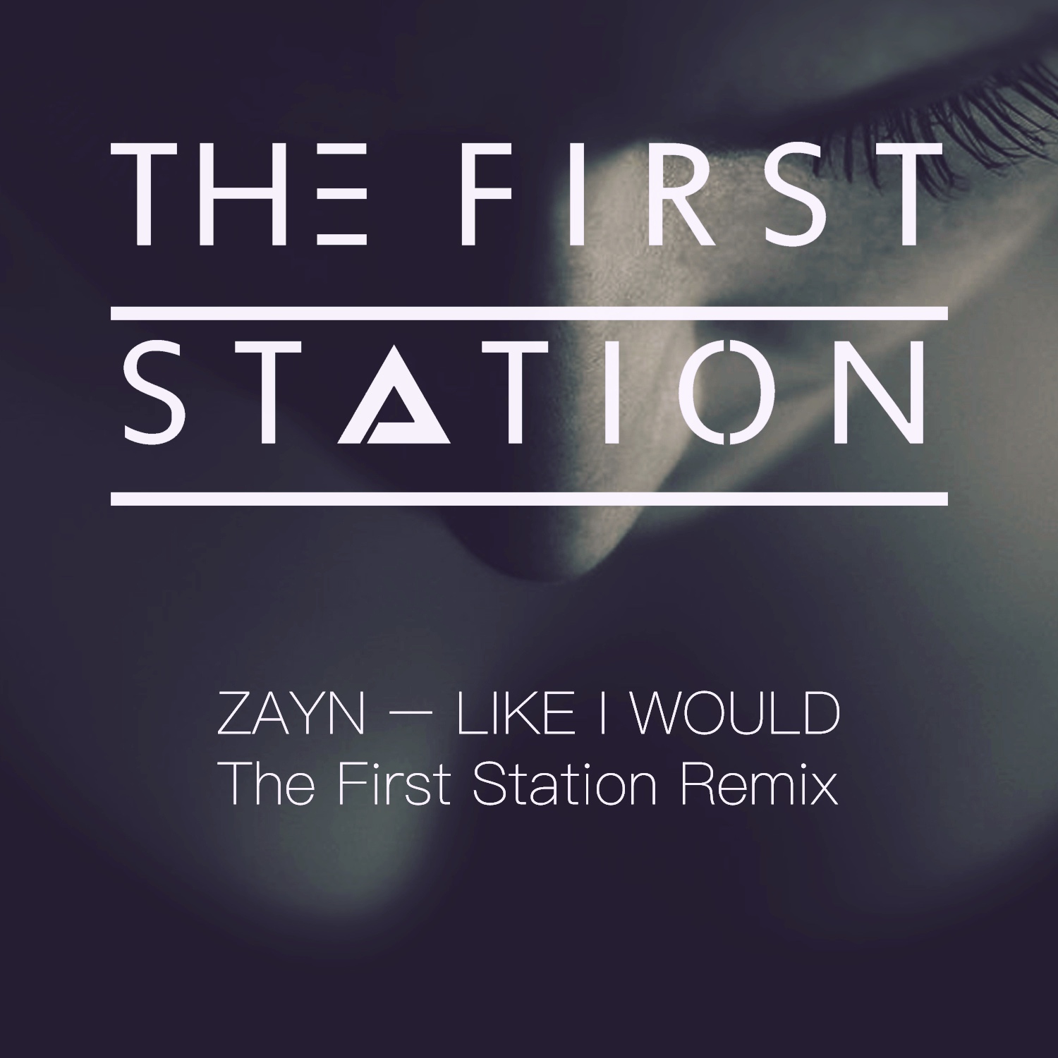 Zayn - Like I Would (The First Station Remix)