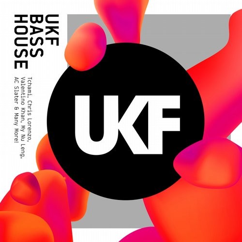 AK9 - Bring the House (Original Mix)