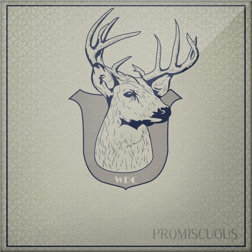 Nelly Furtado feat. Timbaland - Promiscuous (Vibe Maker Remix)