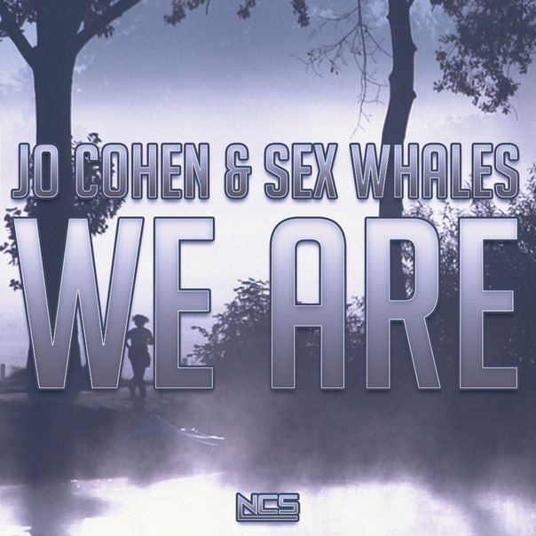 Jo Cohen & Sex Whales - We Are (Original Mix)