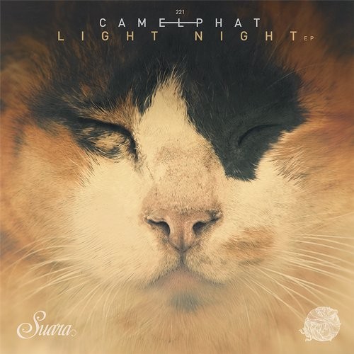 Camelphat - Light Night (Original Mix)